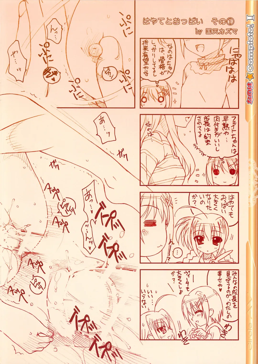 [Kazuma G-version] Nanoha Complete! I Fhentai.net - Page 8