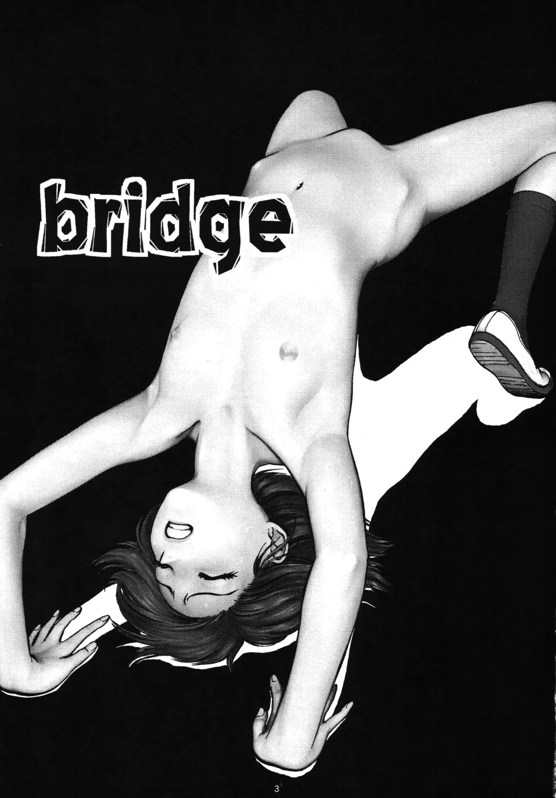 [Yoriu Mushi] Bridge Fhentai - Page 3