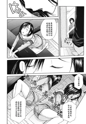 [Junkie] Nikushoku-kei Onee-chan | Carnivorous Sister Fhentai - Page 4