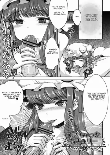 [Shakain Eru] Dekichatta Patchouli Fhentai - Page 2