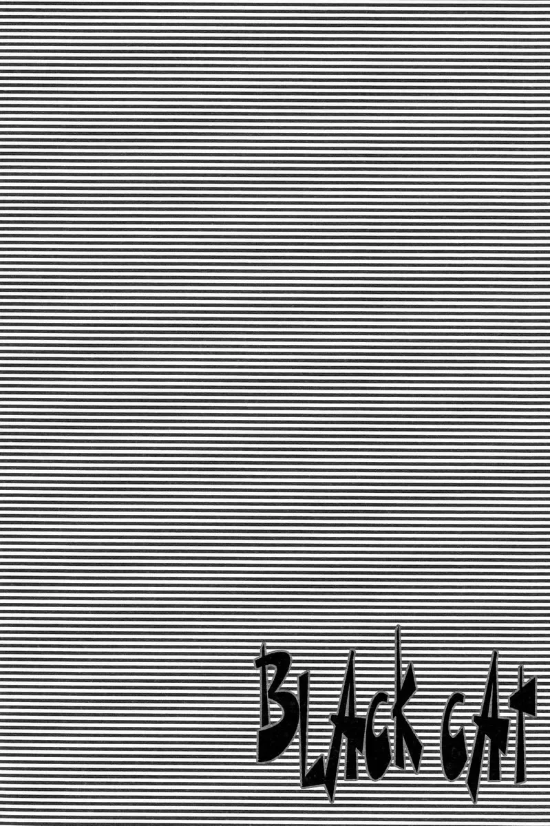 [Misumi Kouji] Black Cat Fhentai - Page 3