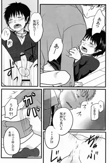 [Misumi Kouji] Black Cat Fhentai - Page 15