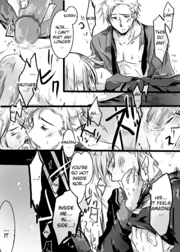 Denmark x Norway Fhentai.net - Page 20