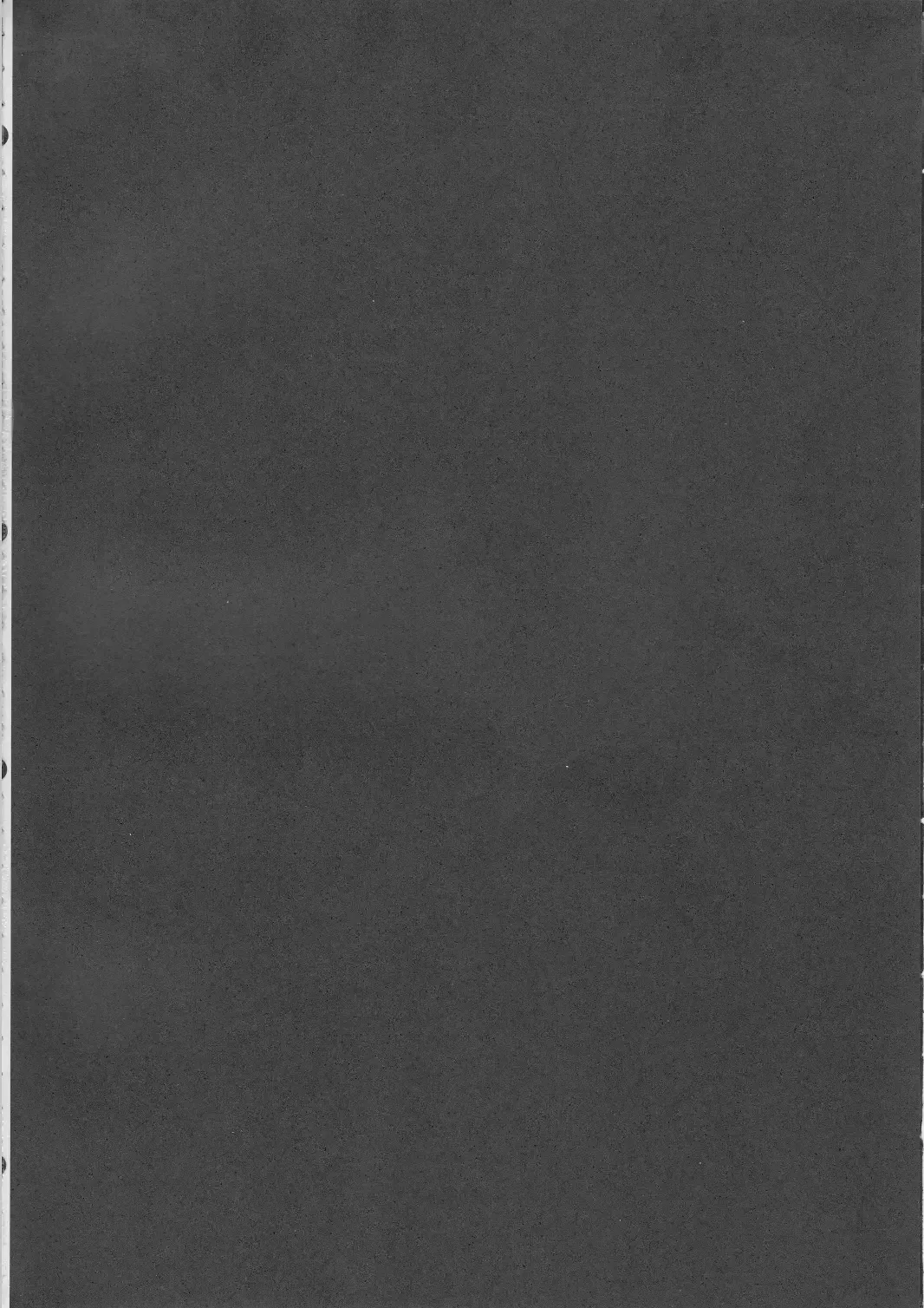 [Shimaji] 8-gatsu 12-nichi hare Kyou wa Sex o Shimashita Fhentai - Page 3