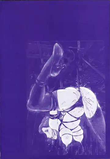 [Mayumi Daisuke] Hitoduma Ryoukan Nikki Fhentai - Page 4