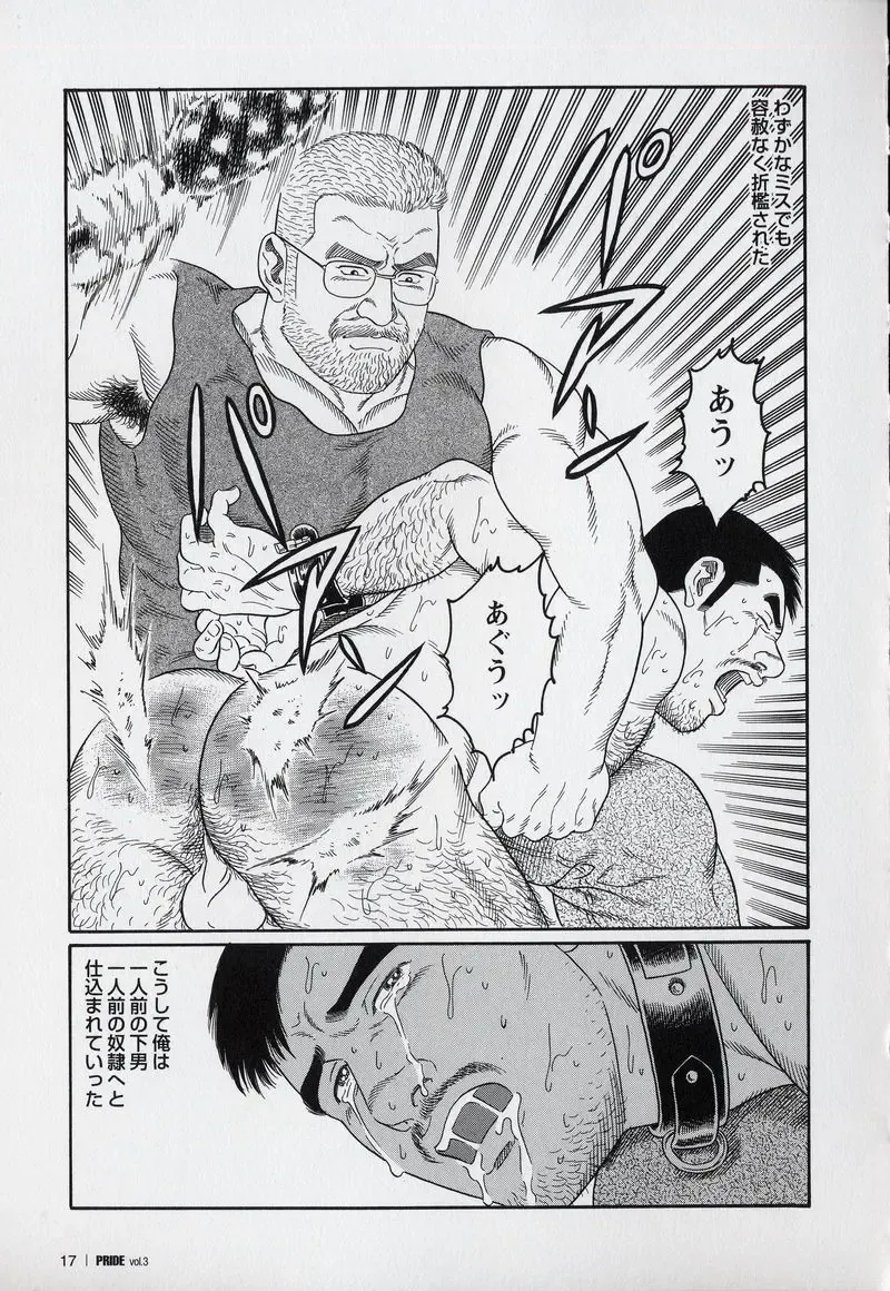 [Tagame Gengoroh] PRIDE Gekan Fhentai - Page 19