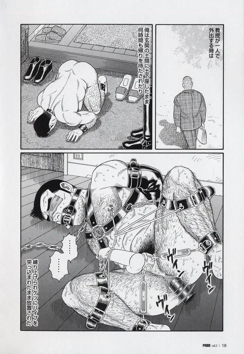 [Tagame Gengoroh] PRIDE Gekan Fhentai - Page 20