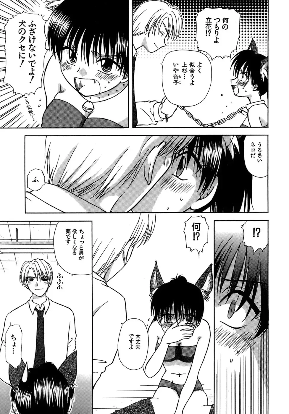 [Sakura Sae] Chaku Ero Shoukougun Fhentai - Page 41