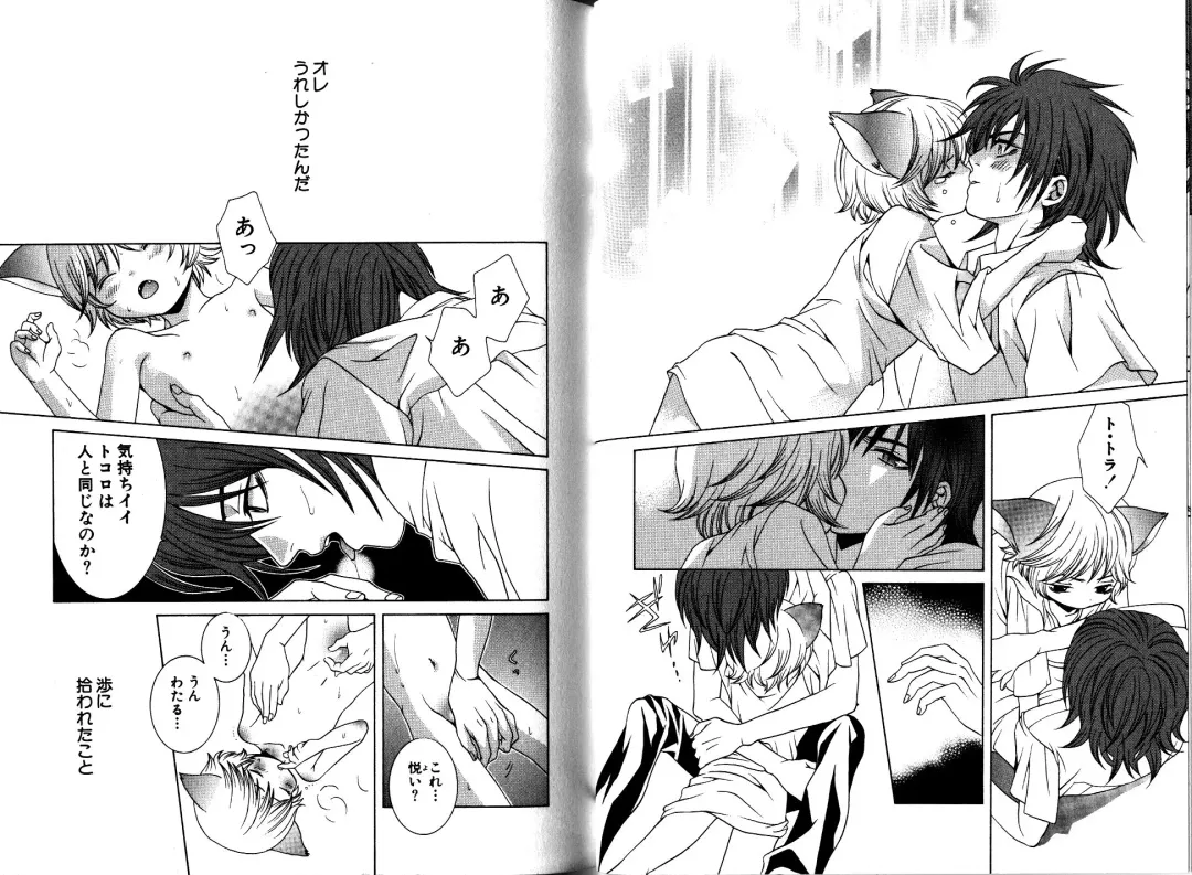 [Akana Meiko] Nekokan Fhentai - Page 15