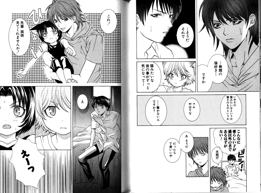 [Akana Meiko] Nekokan Fhentai - Page 23