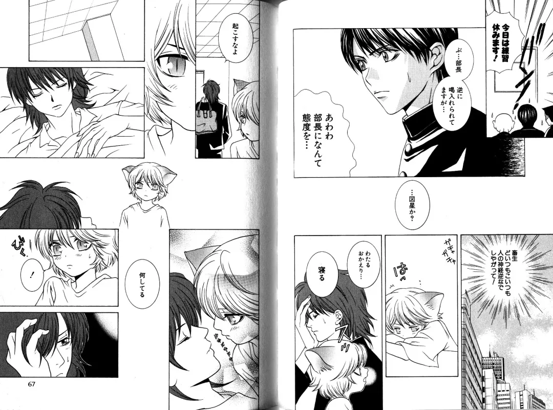 [Akana Meiko] Nekokan Fhentai - Page 36