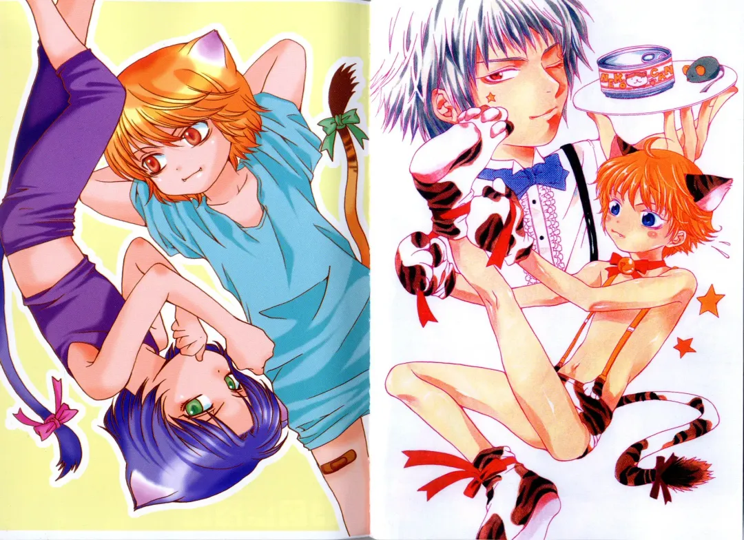 [Akana Meiko] Nekokan Fhentai - Page 4