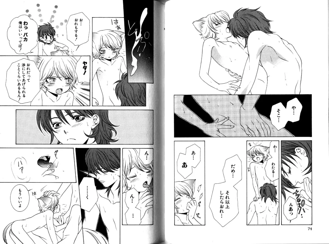 [Akana Meiko] Nekokan Fhentai - Page 40