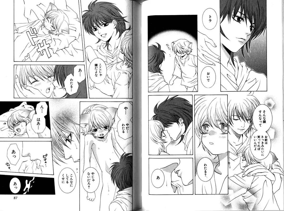 [Akana Meiko] Nekokan Fhentai - Page 46