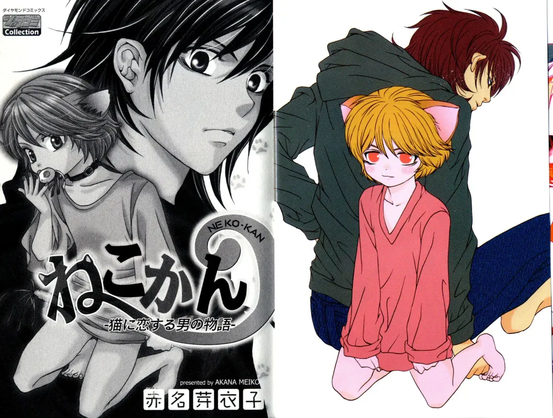 [Akana Meiko] Nekokan Fhentai - Page 5