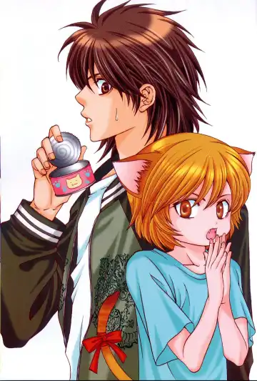 [Akana Meiko] Nekokan Fhentai - Page 3