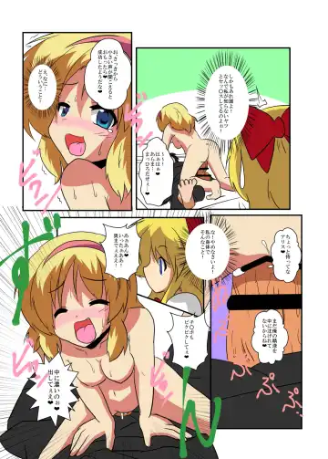 [Mikaduki Neko] Touhou TS Monogatari ~Alice Hen~ Fhentai - Page 12