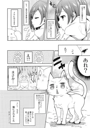 [Kaguyuzu] Hentai Ouji ni Okasareta Neko. Fhentai - Page 3