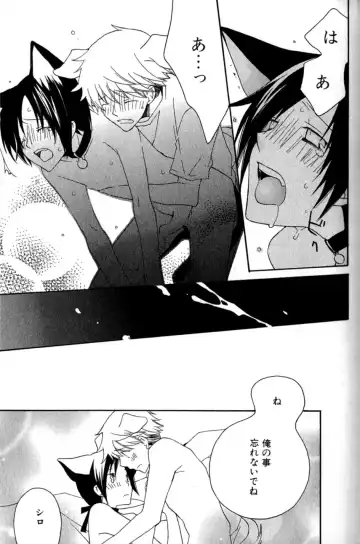 Mimi Paradise Vol. 2 Fhentai - Page 27