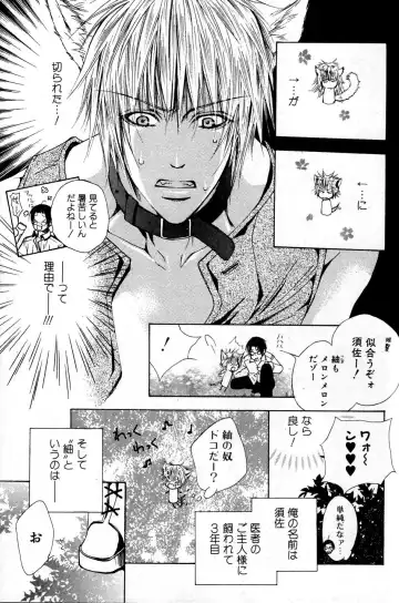 Mimi Paradise Vol. 2 Fhentai - Page 57