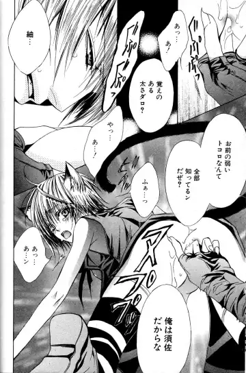 Mimi Paradise Vol. 2 Fhentai - Page 66