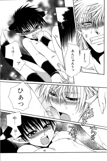 Mimi Paradise Vol. 2 Fhentai - Page 93