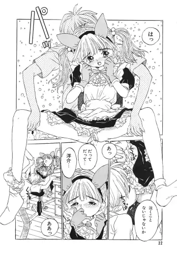 COMIC Megastore 1993-07 Fhentai - Page 21