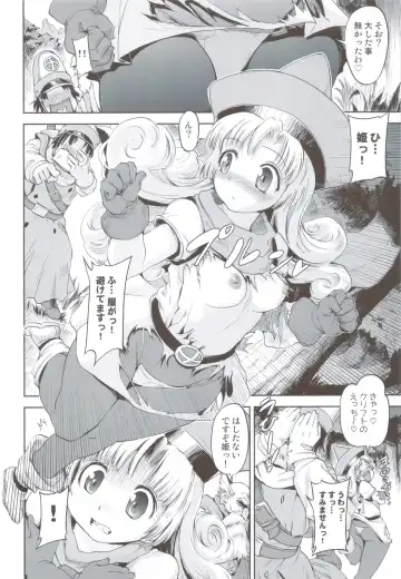 [Gemu555 - Ouma Bunshichirou] Inuhime-sama Fhentai - Page 25