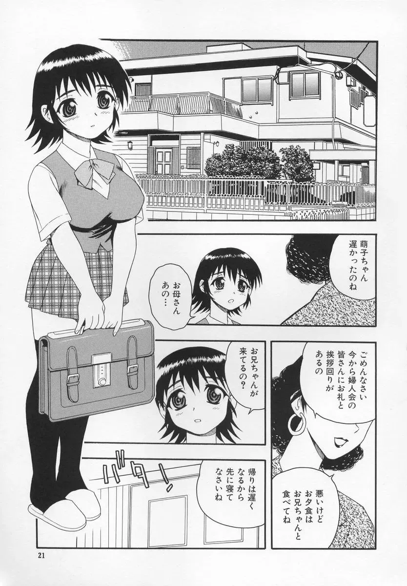 [Shinozaki Rei] CRIMSON Fhentai - Page 25