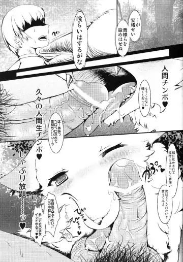 [Sirokoma] Shiki Nashi Youyouko Fhentai - Page 5