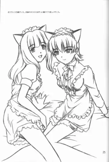 [Tsutsumi Akari] MAiDNESS Fhentai - Page 25