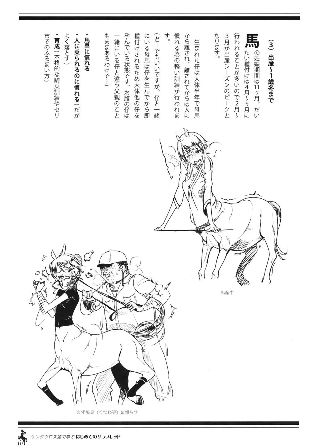 Centaur Musume de Manabu Hajimete no Thoroughbred Fhentai.net - Page 10