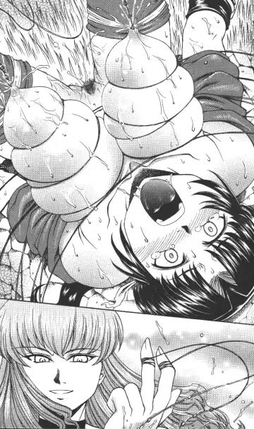 [B-river] Cut-in illustration of KUNOICHI Fhentai - Page 28