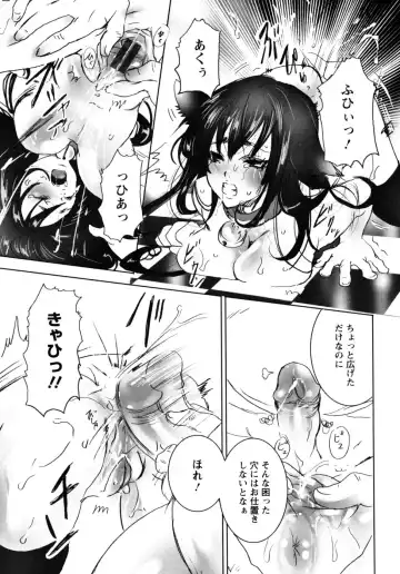 [Shiraishi Asuka] Mousou Otome Zukan Fhentai - Page 15