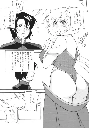 Okachimentaiko DESTINY Fhentai - Page 22