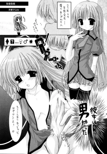 [Shido Mayuru - Tetorapotto] Otonokonoko De Ikou!! Fhentai - Page 4