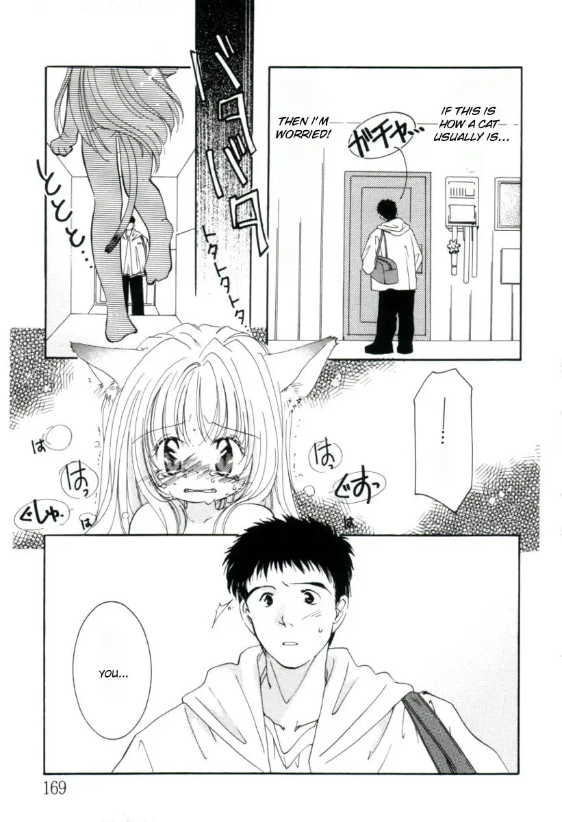 [Mitaonsya] Girl Friend Fhentai - Page 167