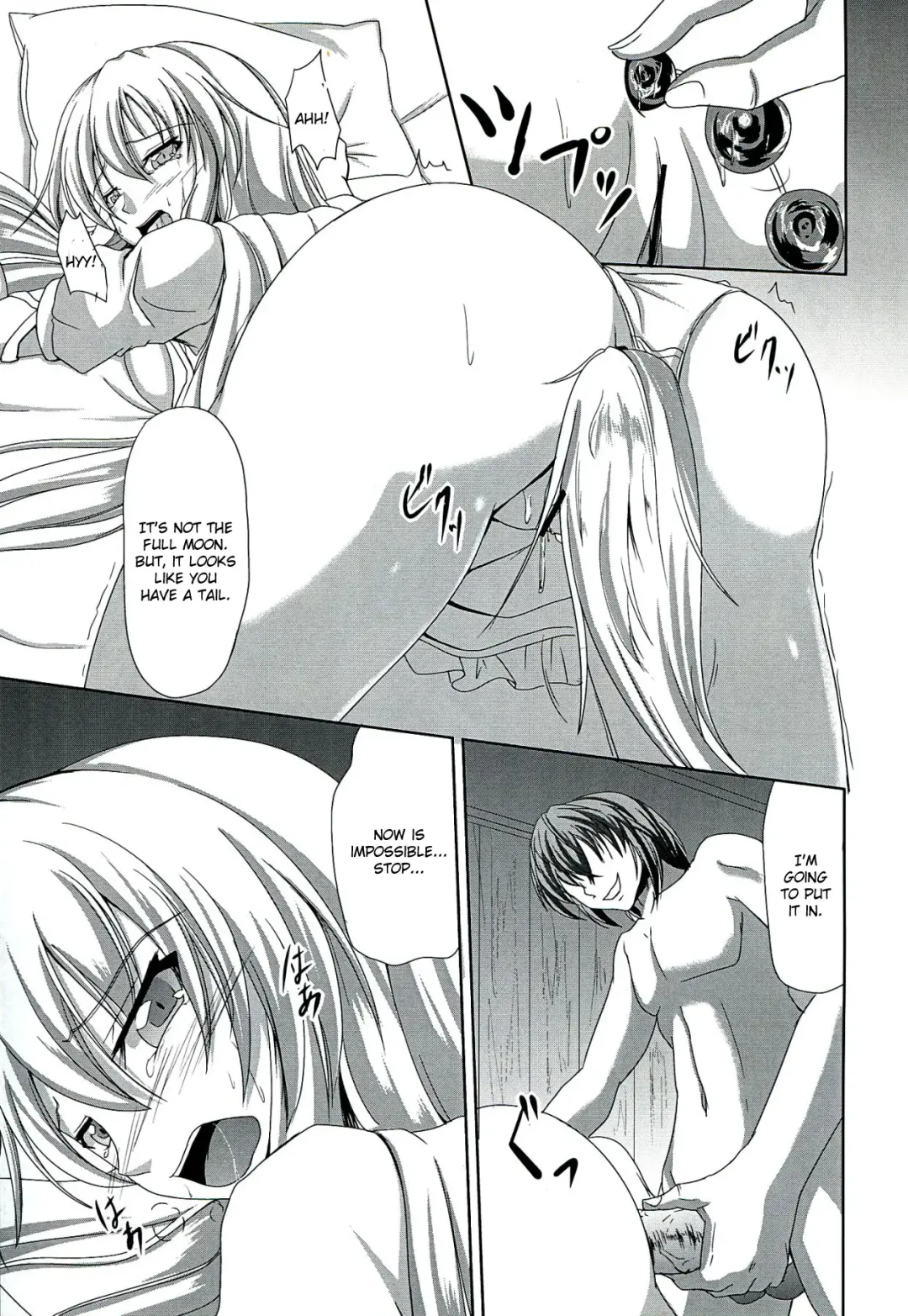 [Campbell Gichou] Dai Kikunattara Fhentai - Page 17