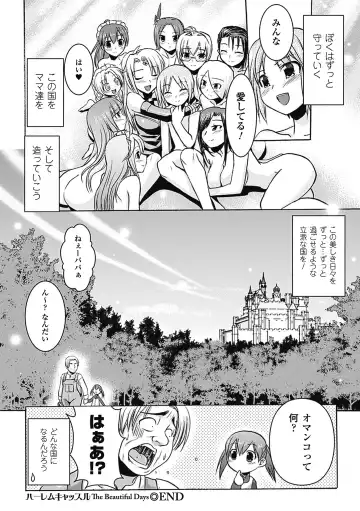 [Hiviki.n - Tokimal Yoshihisa] Harem Castle The Beautiful Days Fhentai - Page 193