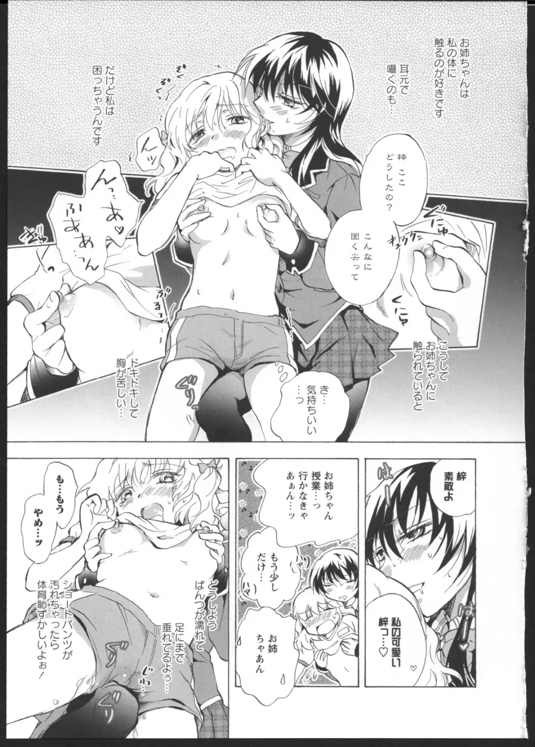 [Mira] Watashi no Ikenai Onee-chan Fhentai.net - Page 5