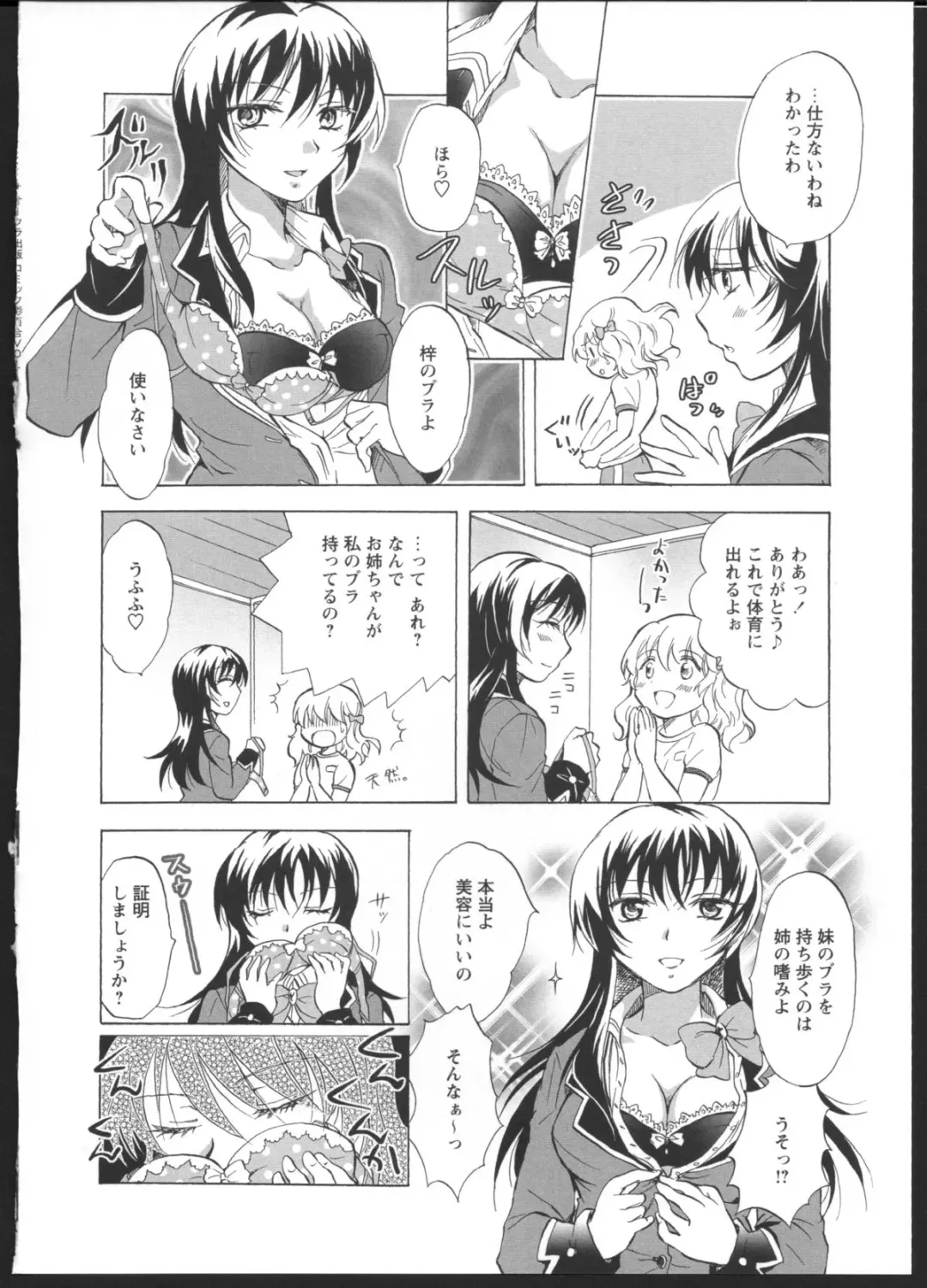 [Mira] Watashi no Ikenai Onee-chan Fhentai.net - Page 6