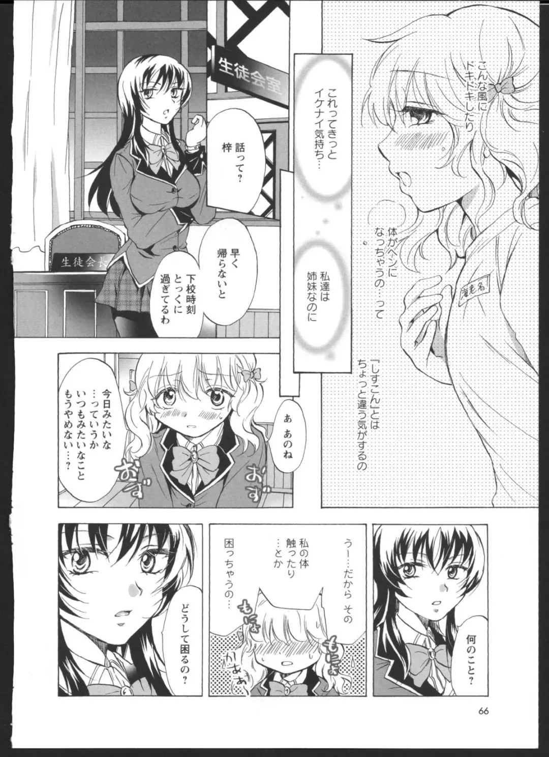 [Mira] Watashi no Ikenai Onee-chan Fhentai.net - Page 8