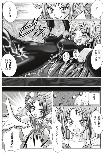[Monmon] Mou Hitotsu no Ketsumatsu  Henshin Heroine Kairaku Sennou ~Gekijouban Yes!! Precure 5 Hen~ Fhentai - Page 20