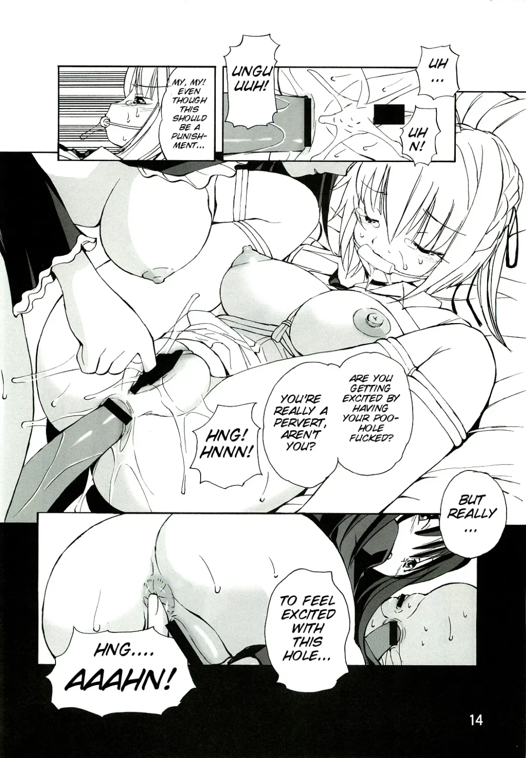 [Fujisaki Makoto] Toaru Shitsuji no Dorei Nisshi Fhentai - Page 14