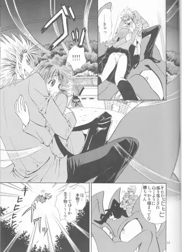 [Shidako] Makai Ouji Fhentai - Page 13