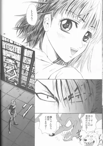 [Shidako] Makai Ouji Fhentai - Page 36