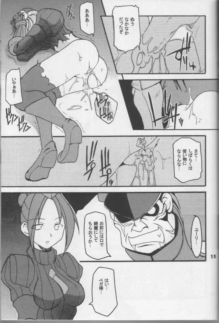 [Hikawa Hekiru] MISSONSPICY The Fifth Side-B (Street Fighter (series)) Fhentai - Page 14