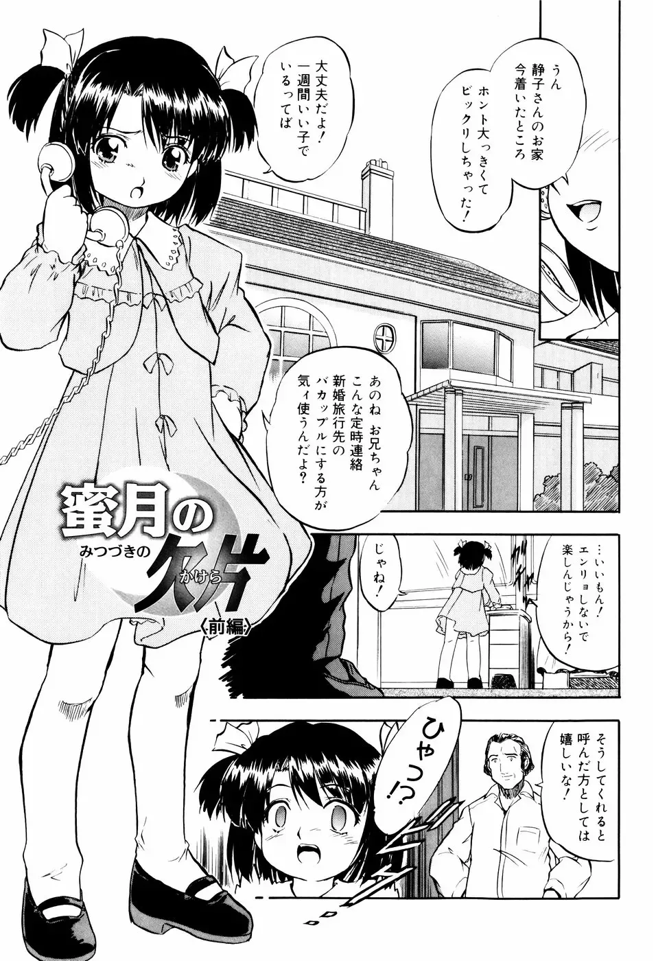 [Tomozawa Shou] Mitsuiro Ni Tokeru Kakera Fhentai - Page 153