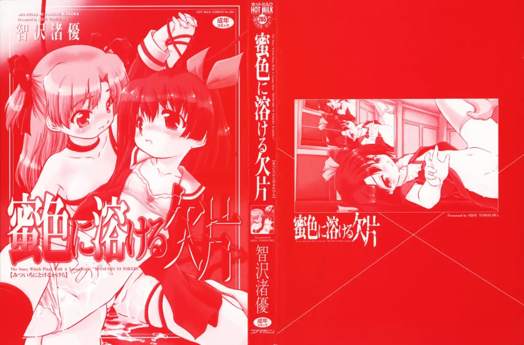 [Tomozawa Shou] Mitsuiro Ni Tokeru Kakera Fhentai - Page 4