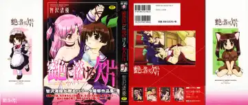 [Tomozawa Shou] Mitsuiro Ni Tokeru Kakera Fhentai - Page 2